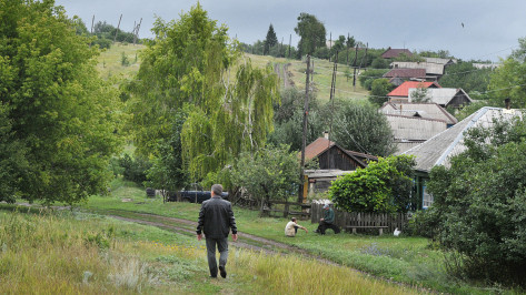 Заброшенные хутора: как пустеют воронежские деревни. Марьевка в Бутурлиновском районе