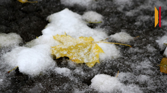 Воронежцев предупредили о гололеде и мокром снеге 2 декабря