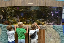 Воронежскую область признали одним из лучших регионов для многодетных семей по итогам 2025 года