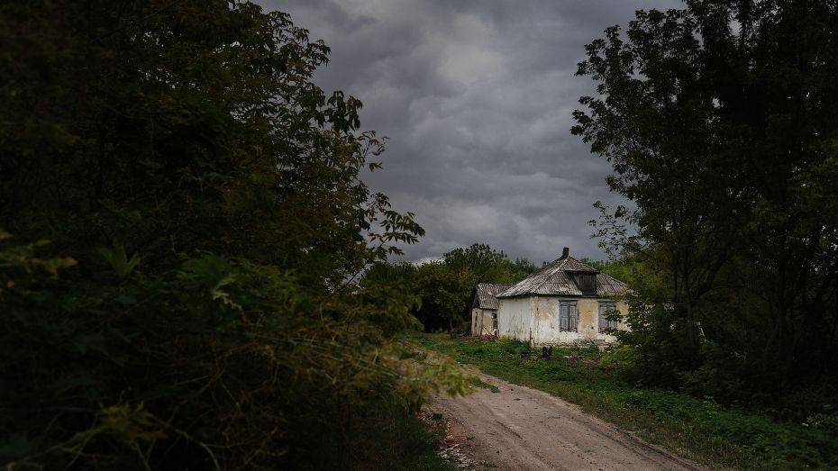 Из-за грозы в Воронежской области объявили желтый уровень погодной опасности