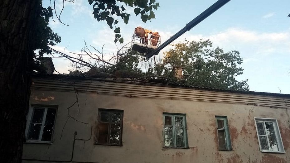 Ветер свалил 20-метровый тополь на крышу воронежского дома