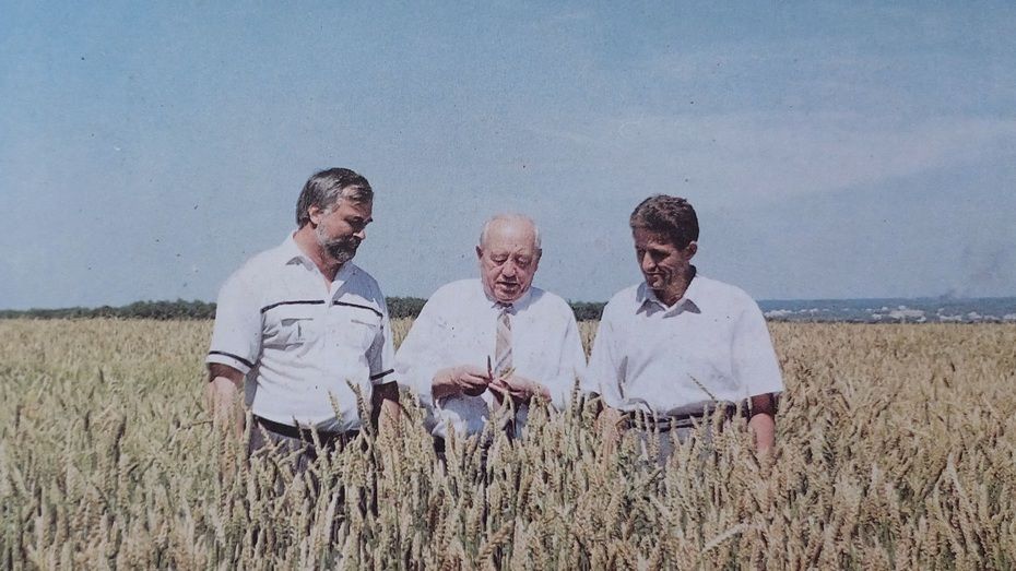 благоустройство москвы 2024. шелепихинская набережная проект реконструкции. благоустройство шелепихинской набережной проект. благоустройство москвы 2024. парк яуза в москве.