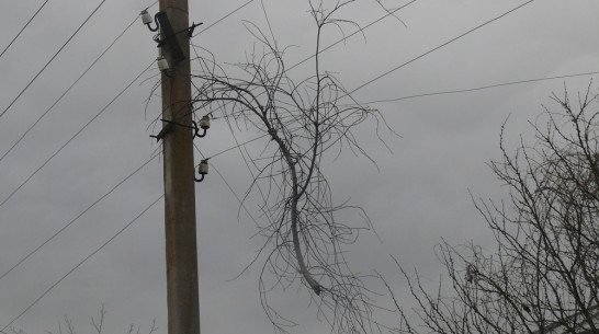 В Верхнемамонском районе из-за сильного ветра произошли порывы электросетей