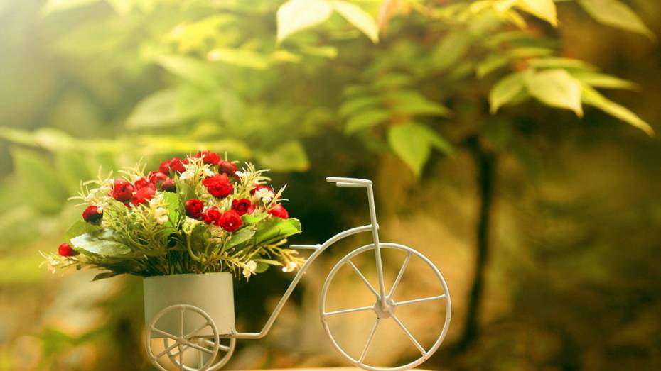 Цветы на дом или в офис: как работает доставка счастья в Воронеже