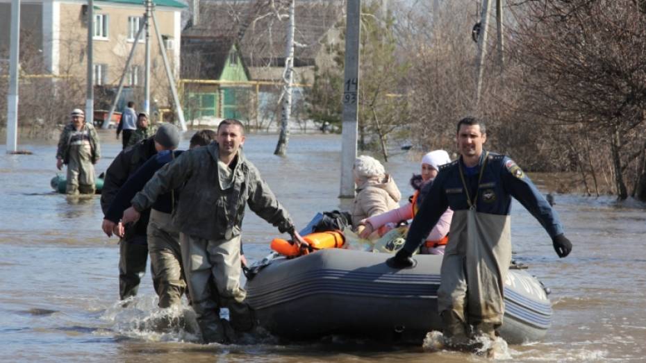 Прокуратура взяла на контроль ситуацию с паводком в Воронежской области 