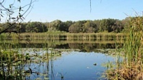 В Воронежской области 11-летний мальчик утонул в Хопре на глазах у родных