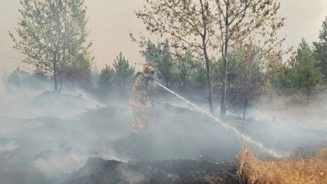 В Воронеже локализовали пожар в Семилукских Выселках на площади 120 га