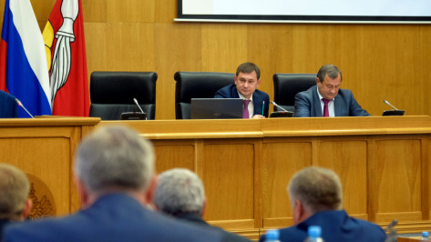 Частные инвестиции в экономику Воронежской области составили 1,5 трлн рублей за 5 лет