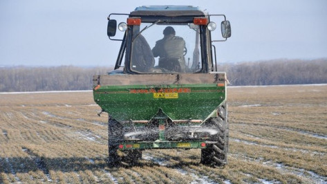 В Воронежской области тракторист раздавил 3-летнюю племянницу
