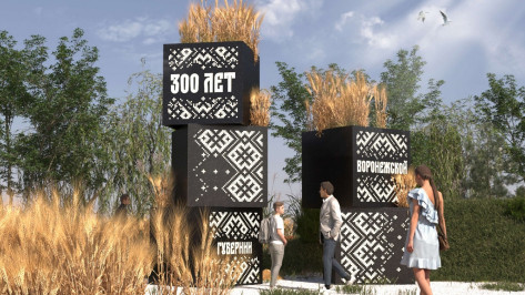 Посвященная 300-летию Воронежской губернии экспозиция из черных кубов украсит фестиваль «Город-сад»