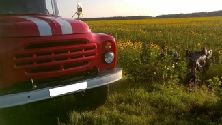 Автоледи разбилась на «семерке» в Воронежской области