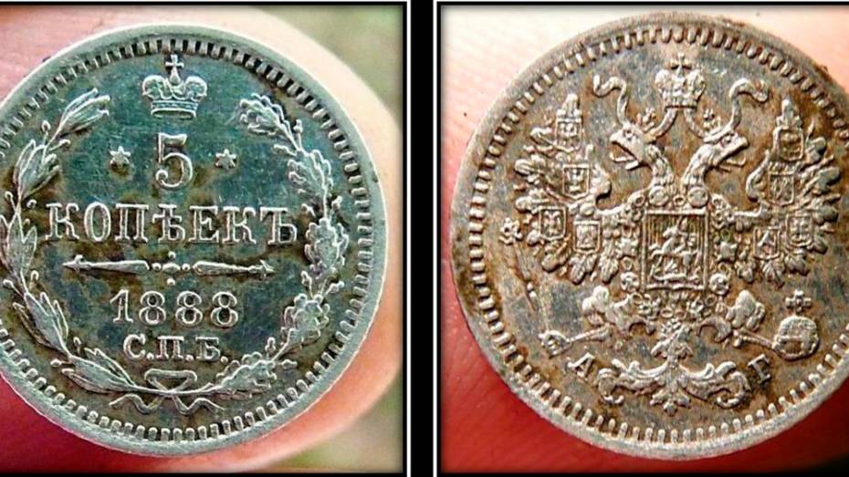 Таловские краеведы нашли старинную пуговицу и серебряную монету 1888 года