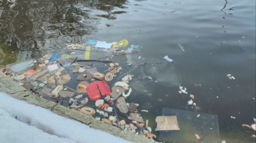Пруд в Центральном парке Воронежа очистили от мусора и вредного для уток хлеба