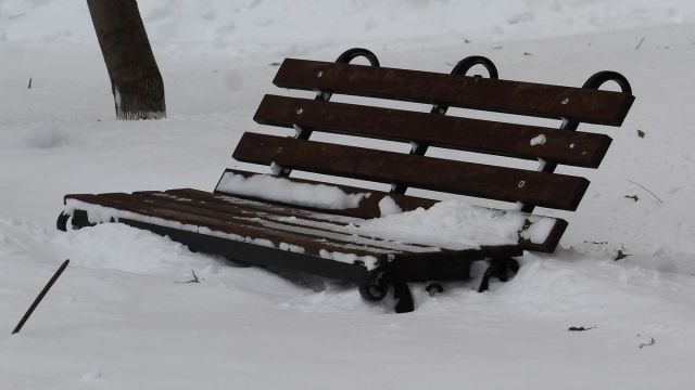 Рухнувший с крыши снег едва не убил мужчину с собакой в Воронеже: видео