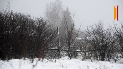 В Воронежской области продлили предупреждение о гололедице и тумане