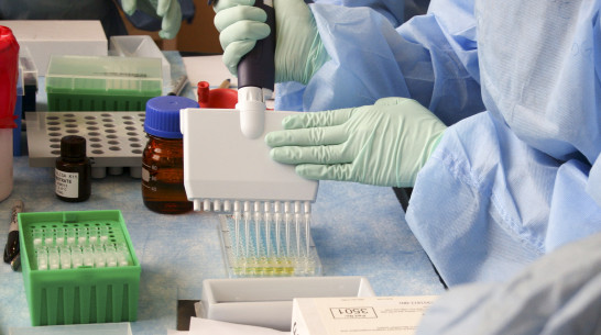 В Воронеже в 5 СНТ ввели карантин по бешенству