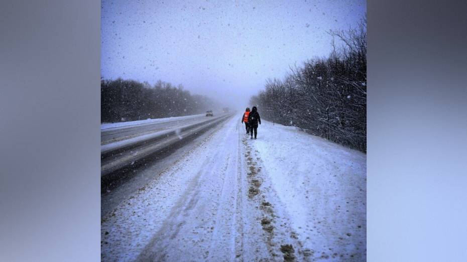 Воронежские волонтеры поделились новыми подробностями поиска 88-летней женщины