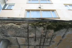 Жилищная инспекция заинтересовалась поросшей мхом пятиэтажкой в Воронеже
