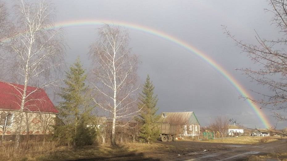 Первую весеннюю радугу заметили в Панинском районе