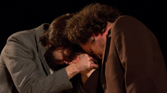 Воронежцам покажут петербургские «Организмы»