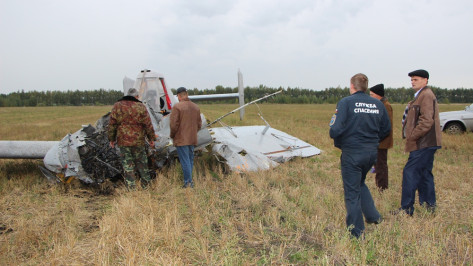 Спасатели назвали вероятную причину падения самолета в Воронежской области