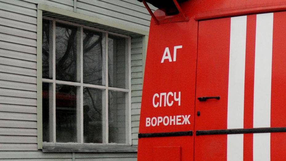 Ребенок получил ожоги 2-й степени на пожаре в Воронежской области