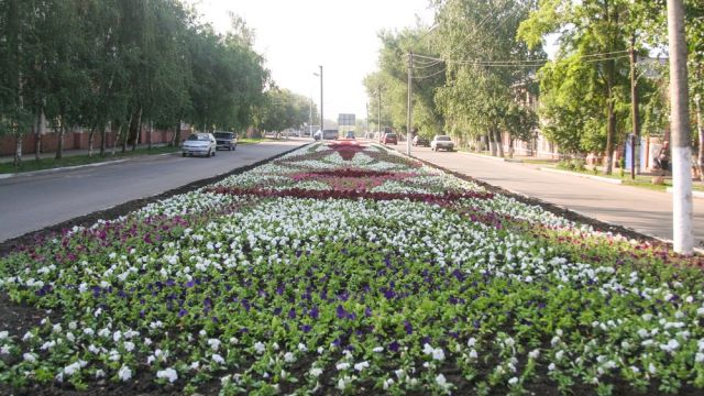 В Острогожске к 70-летию Победы высадят 95 тыс цветов