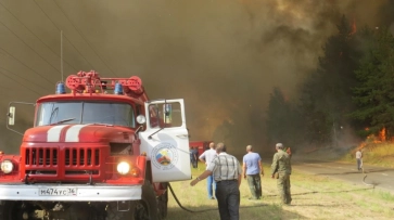 МЧС: в Воронежской области сгорело более 20 га лесной подстилки