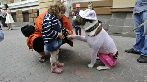 Главной звездой карнавального шествия в Воронеже стал бульдог в розовой юбке