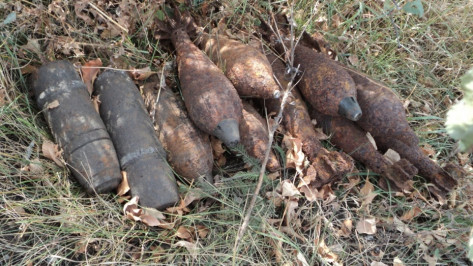 Под Воронежем взрывотехники уничтожили 100 боеприпасов времен войны