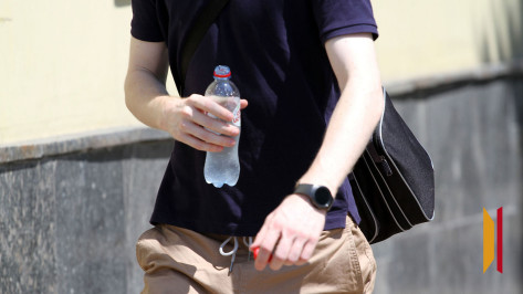 В конце рабочей недели в Воронежскую область вернется жара до +33 градусов