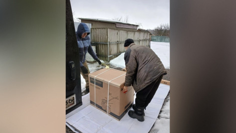 Семьям участников СВО и пожилым жителям Новой Усмани помогут навести порядок возле домов бесплатно