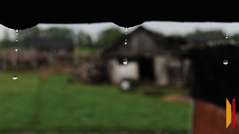 Воронежцев ждут прохладные и дождливые выходные