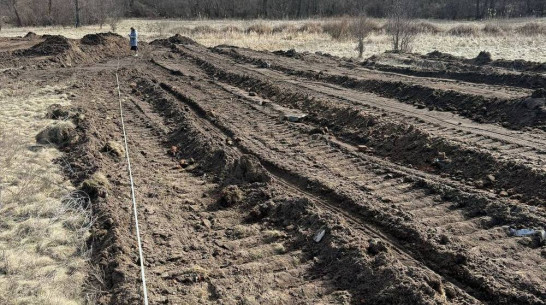 Работу бульдозеров вновь заметили на Усманке под Воронежем