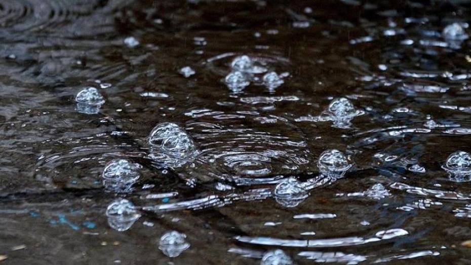 Синоптики спрогнозировали теплые выходные с дождем в Воронеже