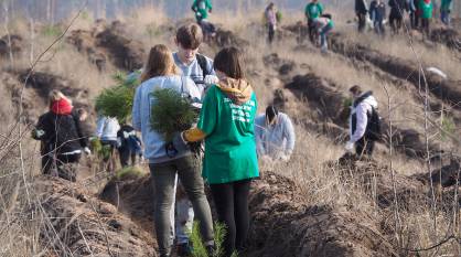 В Воронежской области будет высажено более 7,5 млн молодых растений