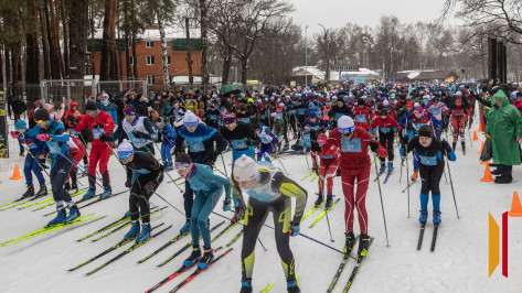 На старты «Лыжни России – 2026» в Воронежской области вышли около 4 тыс человек
