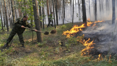 В Воронежской области лесные пожары ищут с помощью видеонаблюдения и спутниковых систем