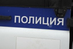 Полицейская машина насмерть сбила женщину на переходе в Воронеже