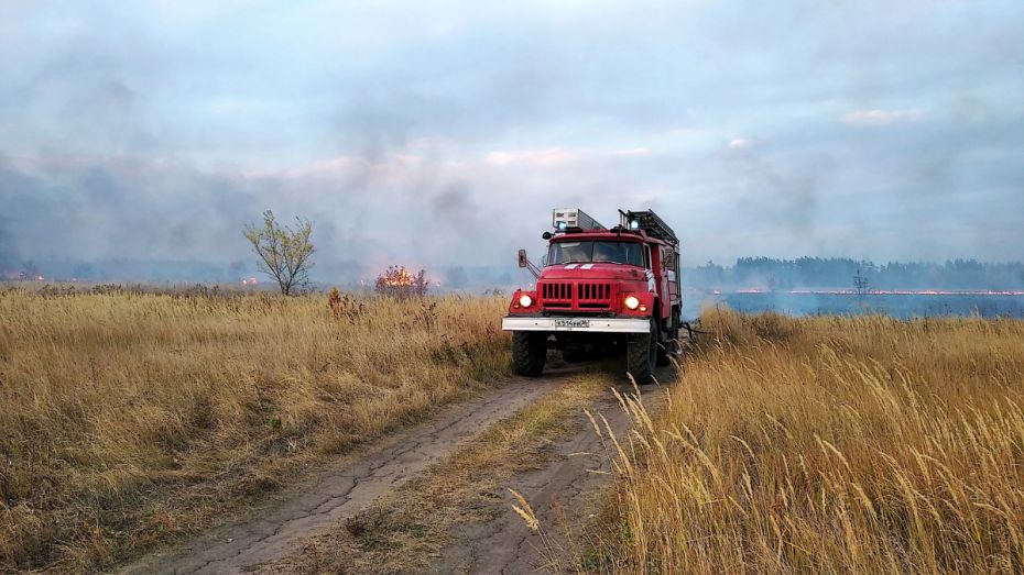 Крупный природный пожар потушили в Воронежской области
