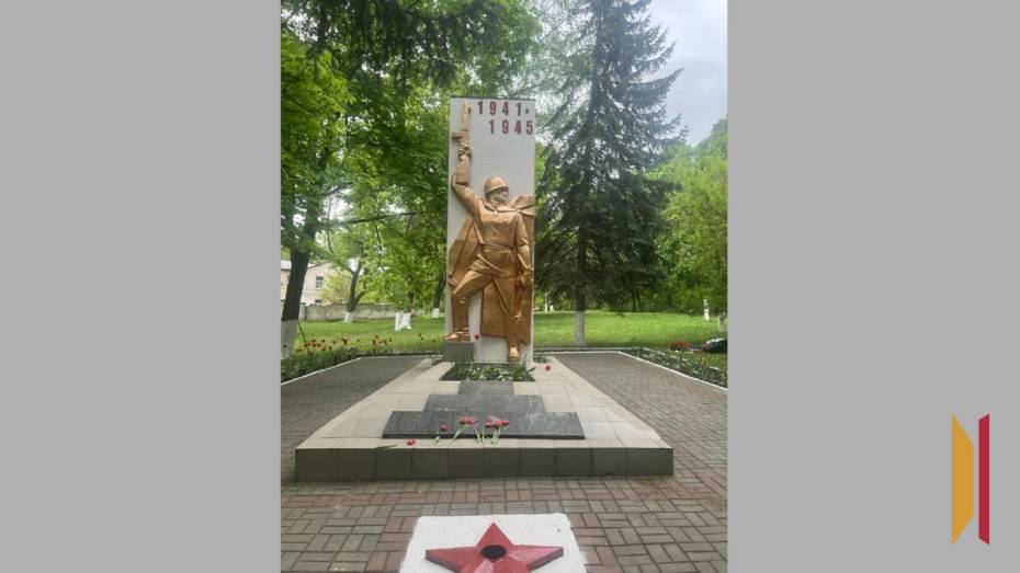 Хохольские активисты высадят аллею возле братской могилы