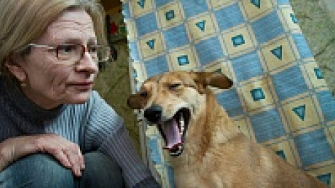 Воронежская пенсионерка учит парализованных собак заново ходить и даже бегать