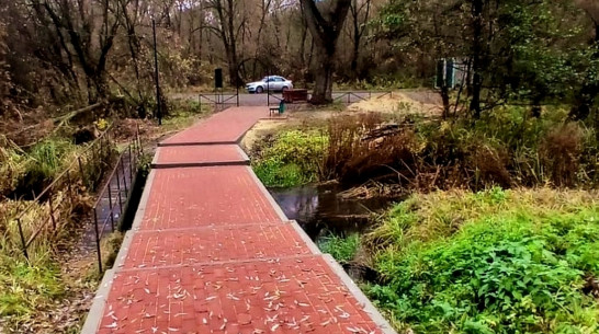 Общественники нижнедевицкого села Новая Ольшанка благоустроили территорию святого источника