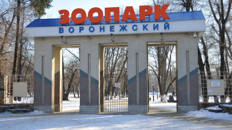 У воронежского зоопарка появится филиал в Воробьевском районе