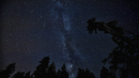 Воронежцы смогут увидеть метеорный поток Персеиды в ночь на 13 августа