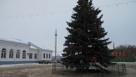 В Подгоренском районе установили главную новогоднюю елку