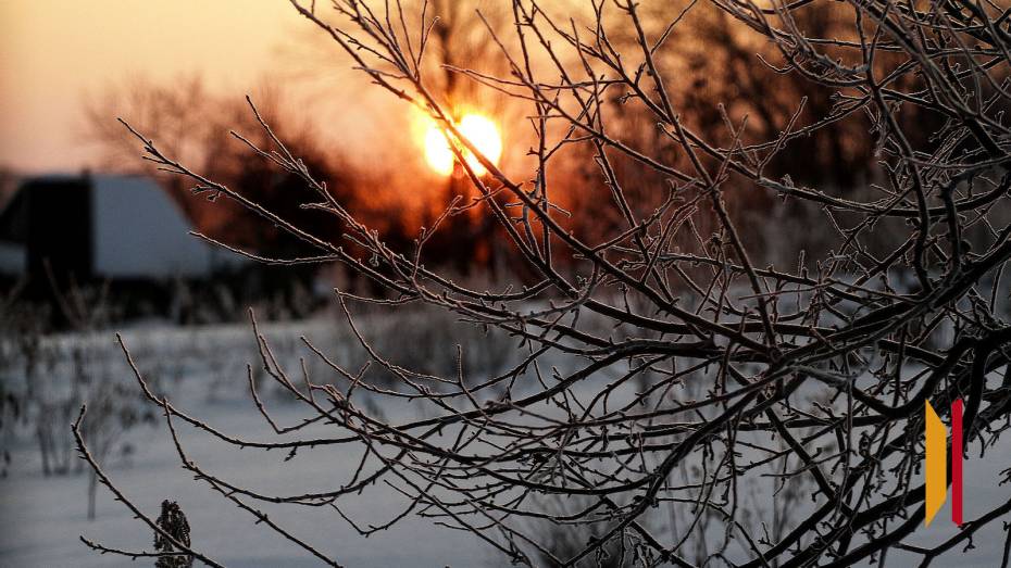 Воронежцев ждут морозные выходные