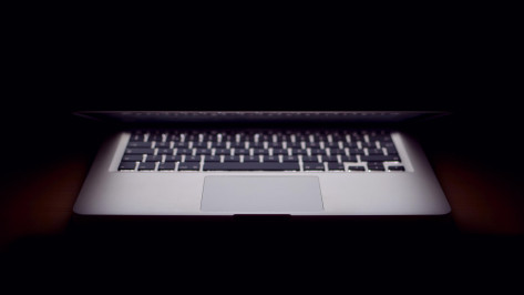 Воронежцев предупредили о фейке про обыски в квартирах для поиска «запрещенных сервисов»