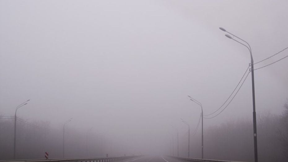 Воронежские дорожники предупредили водителей о тумане и сильном ветре