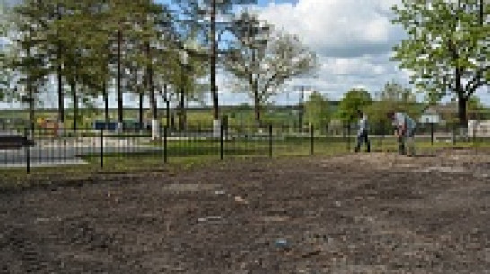 В Нижнедевицком районе  будет разбита  аллея выпускников